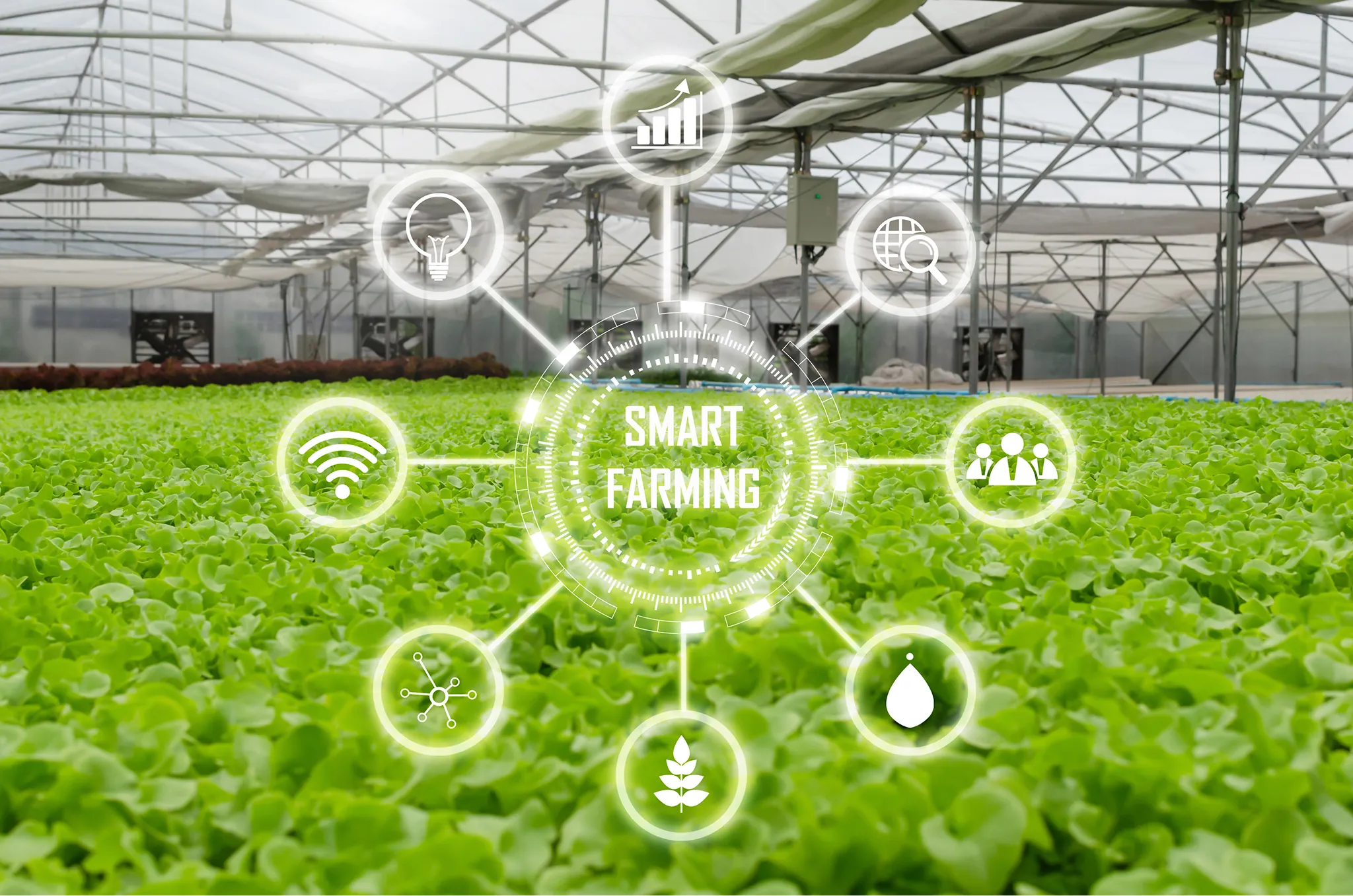 Agricultural IoT Solutions